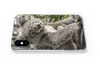 MuchoWow® Handyhülle Schutzhülle Hülle für iPhone X Koala - Produktbild-Vorschau 5