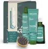Rosmarino - Set regalo per la cura dei capelli: shampoo + Anteprima dell’immagine prodotto 1