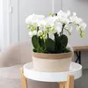 Sada v bavlněném košíku: 3 oranžové orchideje Bozen (9 cm) Náhled obrázku produktu 2