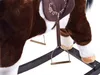 Close-up of a rocking horse's saddle and stirrups. Voir les images du produit