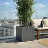Elegant Einrichten | Pflanzkübel | Fiberglas | anthrazit Produktbild-Vorschau 3