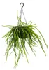Urban Jungle Elegance: moderno cactus a forma di semaforo Anteprima dell’immagine prodotto 1