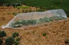 Mini Garten Gewächshaus Folie Tunnel Gartenstangen Folie Produktbild-Vorschau 9