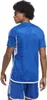 adidas Tiro 23 Competition Match Trikot Herren ROYBLU/WHITE Produktbild-Vorschau 3
