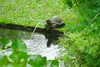 Ubbink Wasserspeier Schildkröte Produktbild-Vorschau 4