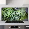 Coloray Küchenrückwand 140x70 Spritzschutz aus Glas - Produktbild-Vorschau 2