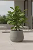 Vaso da fiori GIRAR in fibra di vetro, grigio Vesuvio, Anteprima dell’immagine prodotto 2