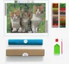 ARTULIO Diamond Painting Set - Drei niedliche Kätzchen im Produktbild-Vorschau 2