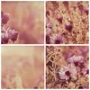 Bild auf Leinwand - Leinwandbild - Einteilig - Wiese Blumen Produktbild-Vorschau 8