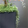 Prosperplast®, Doniczka, DRTS325-S43, Antracyt, Wkład Podgląd zdjęcia produktu 7