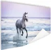 MuchoWow® Poster Pferde - Luft - Meer 60x40 cm - Produktbild-Vorschau 1