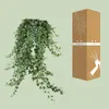 Hedera Helix Pitsburg con vaso sospeso XXL - 70-80cm - Anteprima dell’immagine prodotto 5