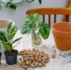 Biovita Blähton, Tongranulat 8-16mm, 5L Keramsit, Produktbild-Vorschau 8
