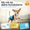 HUND IST KÖNIG Windeln für Hündinnen [3 Stk], S (Taille Produktbild-Vorschau 2