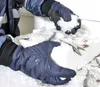 Cofra Kühlhaus-Handschuh Tundra EN 388 (2142X), EN 511 Produktbild-Vorschau 3