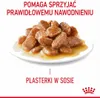 ROYAL CANIN Hair & Skin Care - nassfutter für Katzen - Produktbild-Vorschau 11