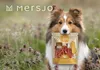 Mersjo weiche Entenstreifen 2x500g - Hundeleckerli Produktbild-Vorschau 26
