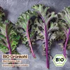 Samenliebe  Grünkohl Samen | Red Russian Kale - winterhart Produktbild-Vorschau 4