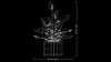 LEGO Botanicals 11504 Fleurs de lune - Ensemble de plantes Voir les images du produit 40