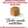 Royal Canin Feline Kitten Maine Coon 36 4kg Anteprima dell’immagine prodotto 10