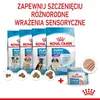 Royal Canin Dose Starter Mousse 195g Produktbild-Vorschau 7