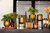 A collection of potted plants and decorative items arranged on a shelf in front of blinds. Produktbild-Vorschau
