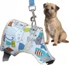 Geschirr + Leine für kleinen Hund Katze Katze XL 36-44cm im Produktbild-Vorschau 1