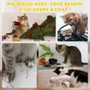 PawHut Tonneau à gratter pour chat arbre à chat sisal Voir les images du produit 7