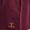 hummel hmlALVILDA ZIP DRESS - WINDSOR WINE - 128 Produktbild-Vorschau 4