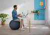 LEITZ Ergo Cosy Sitzball grau 65,0 cm Produktbild-Vorschau 6