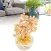 Albero dei soldi Feng Shui, energia positiva, decorazione Anteprima dell’immagine prodotto 5