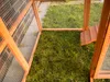 Interior view of a wooden animal enclosure with a grassy floor and a ramp. Produktbild-Vorschau