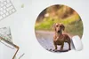 MuchoWow® Mauspad Mousepad Schöner Dackel im Wald 40x40 cm Produktbild-Vorschau 5