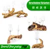 4er Schnapsgläser/Grappagläser/Grappawurzel edel auf einer Produktbild-Vorschau 6