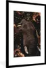 MuchoWow® MuchoWow® Gerahmtes Poster Elefant - Blumen - Produktbild-Vorschau 1