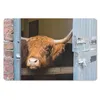 MuchoWow® Schreibtischunterlage Schottischer Highlander - Produktbild-Vorschau 1