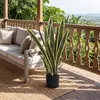 SUGIFT, plante artificielle en pot, Sansevieria Voir les images du produit 11