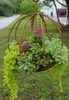 A hanging metal planter filled with various green plants and pink flowers, set outdoors in a grassy area. Produktbild-Vorschau