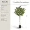 Umělý olivovník Oleand, realistická textura - 150 cm Náhled obrázku produktu 13