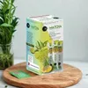 Té detox premium Skinkura, elaborado con matcha Vista previa de la imagen del producto 2