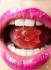 Your Sun Gummies s beta-karotenem a vitamínem E, doplněk Náhled obrázku produktu 5