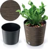 A plant in a decorative pot next to an empty pot and a close-up of the pot's texture. Produktbild-Vorschau