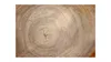 Metallische Magnettafel BAUMSTAMM NATUR BAUMKERN 90x60cm Produktbild-Vorschau 3