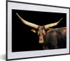 MuchoWow® MuchoWow® Gerahmtes Poster Kuh - Watussi - Braun Produktbild-Vorschau 1