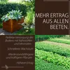 BodenHerz Bodenaktivator, mit Mineralien 100% Natürlich mit Produktbild-Vorschau 3