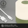 Briloner Akku LED-Tischleuchte SMAL Produktbild-Vorschau 5