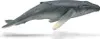 COLLECTA giovane megattera 88963 89634 Anteprima dell’immagine prodotto 2