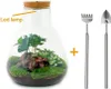 Urbanjngl Flaschengarten Sam mit Lampe - 30 cm Produktbild-Vorschau 4