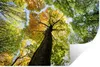 MuchoWow® Wandtattoo Wandsticker Wandaufkleber Baum - Natur Produktbild-Vorschau 1