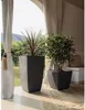EDA 013690 G.ANT SX EDA Jardinière BASALT Diva, carrée, 435 Voir les images du produit 5